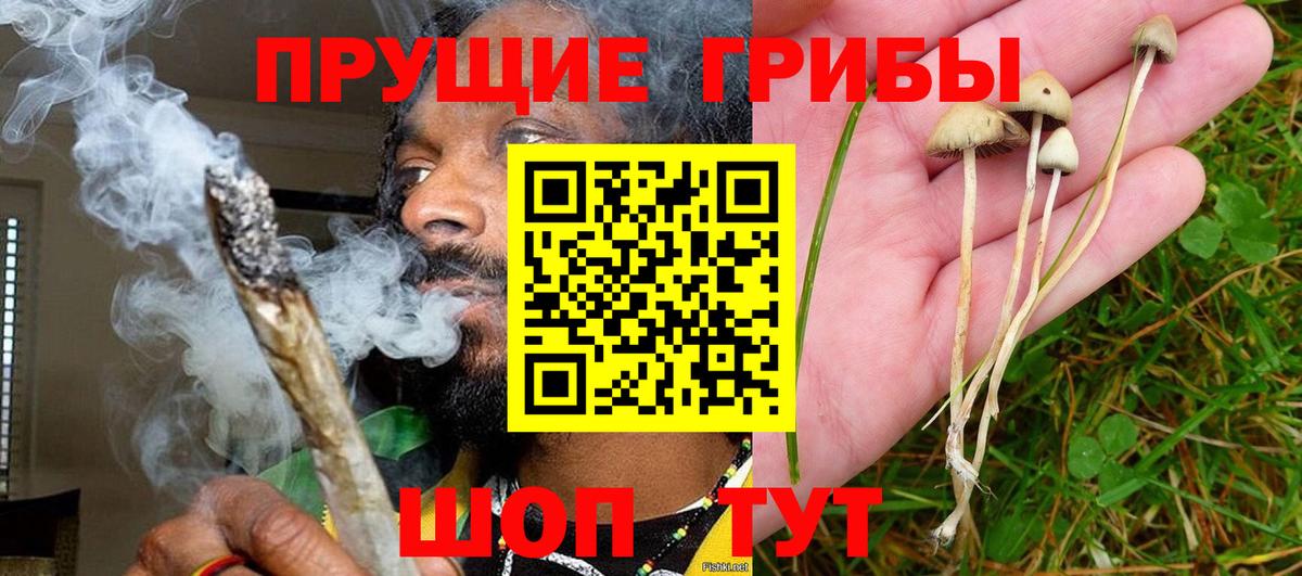 Галлюциногенные грибы ЛСД Елабуга