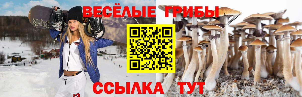 Псилоцибиновые грибы мицелий  хочу   Елабуга  Вход с VPN 